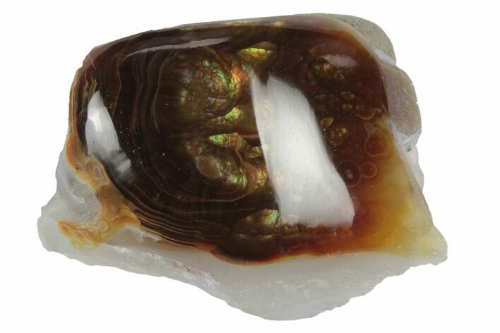 Polished Fire Agate - Calvillo Mines, Mexico #243230